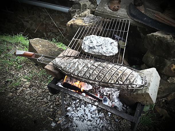 aluminum-foil-packet-cooking-6