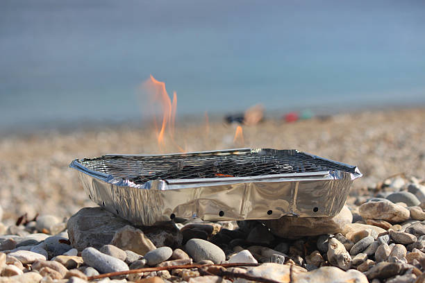 aluminum-tray-foil-loctu-1